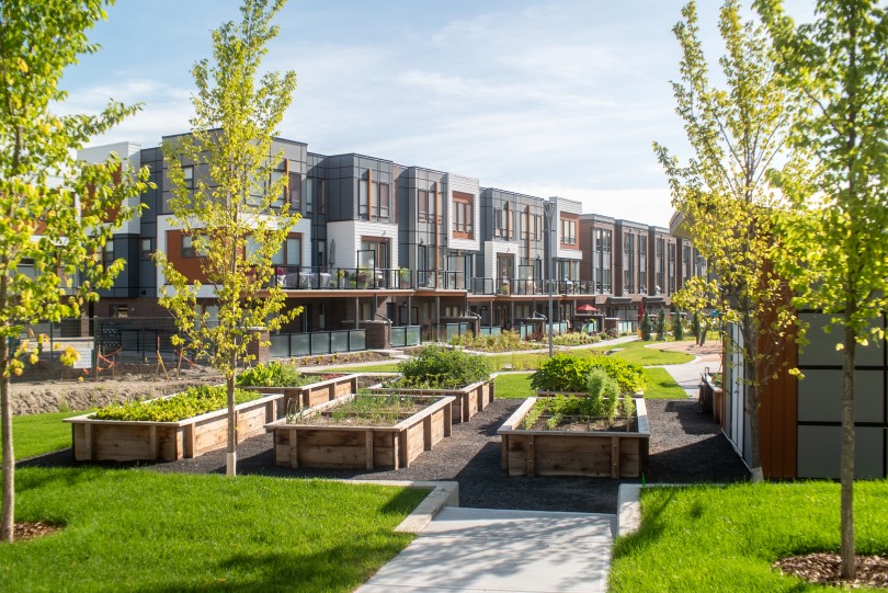Exterior of townhomes at The Ivy at University District in Calgary, AB