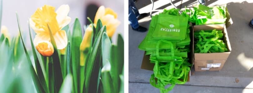 L: Daffodils; R: Branded Bags | Blooming Brookfield Event in Brighton, CO