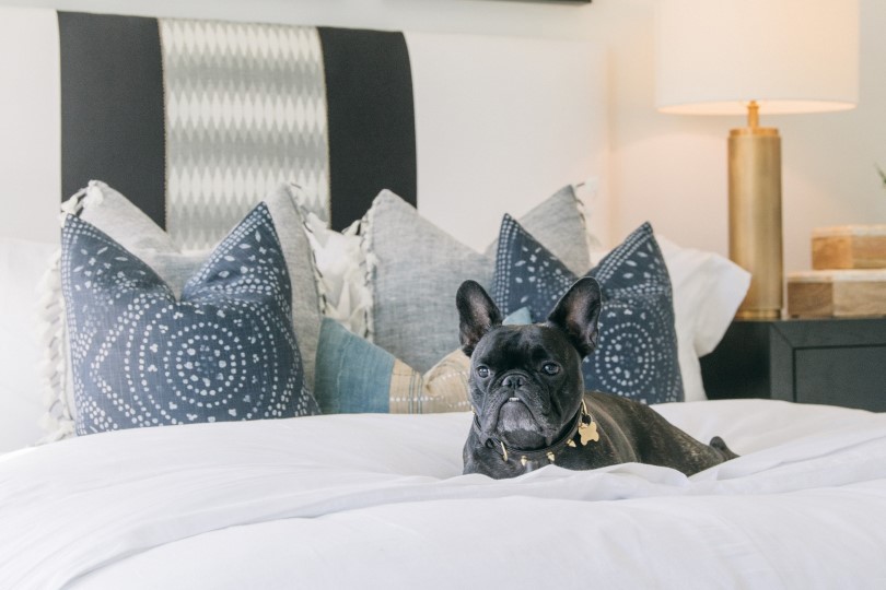 French bulldog lounging on bed