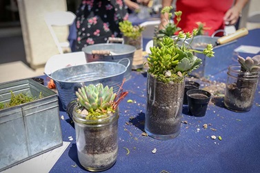 Spring Succulent Style Homeowner Event