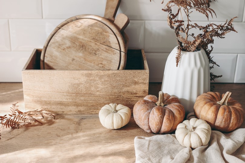 Pumpkins on a kitchen counter