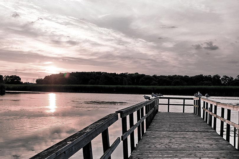 Boardwalk on a lake during sunset
