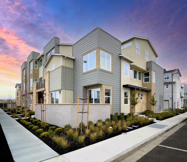 6333 Dandelion Street